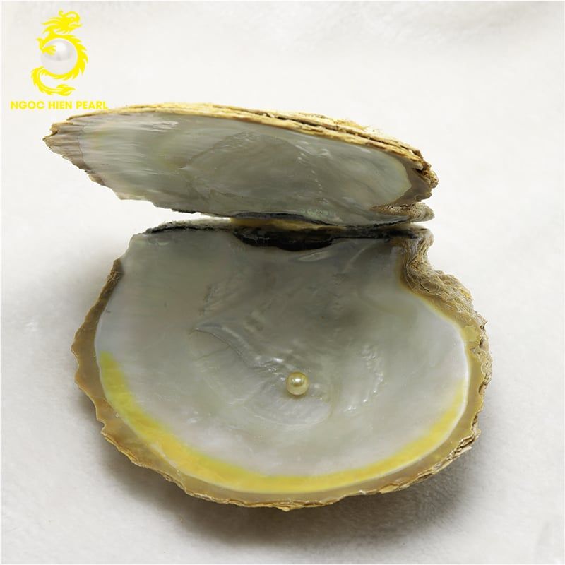 Ngọc Trai Southsea _ SP0387