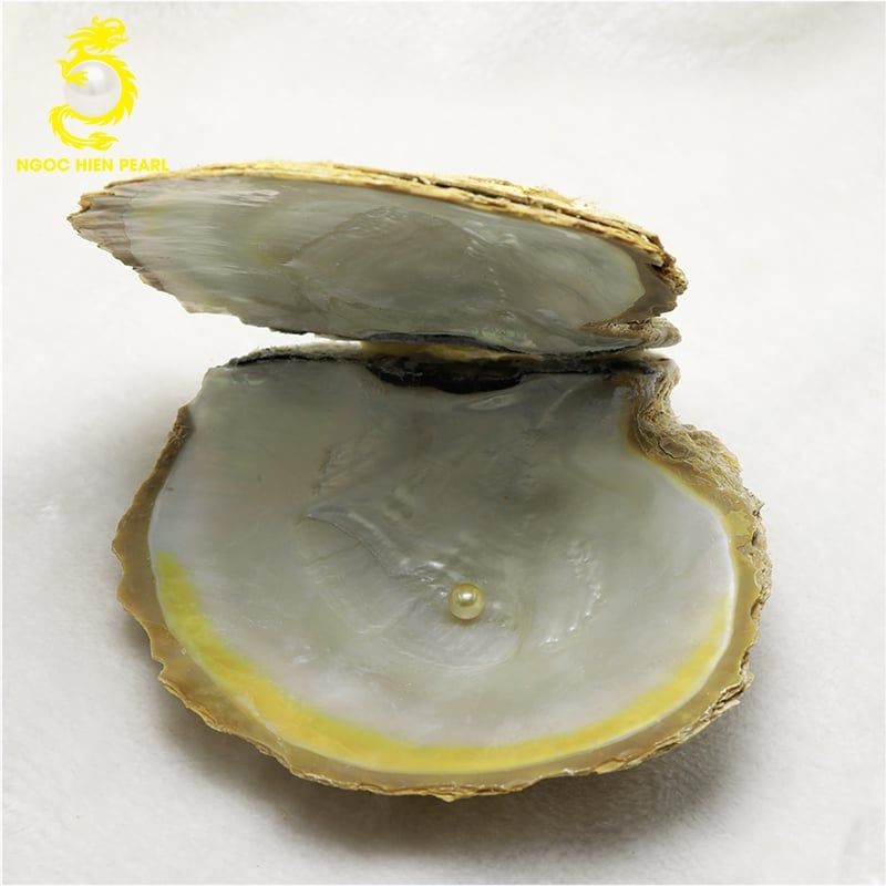 Ngọc Trai Southsea _ SP0387