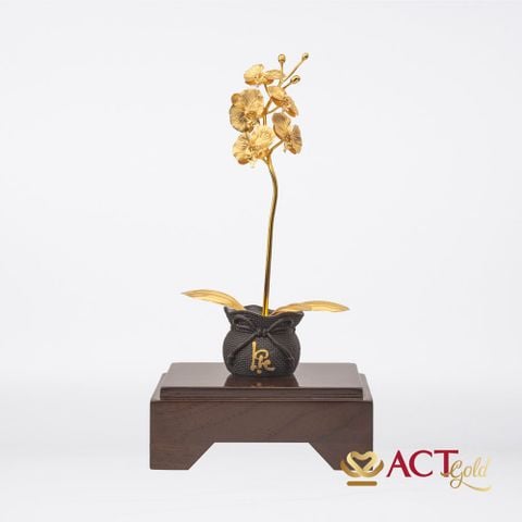 Quà tặng Chậu Lan 1 Cành dát vàng 24k ACT GOLD ISO 9001:2015