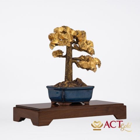Quà tặng Tùng La Hán dát vàng 24k ACT GOLD ISO 9001:2015 (Mẫu 1)