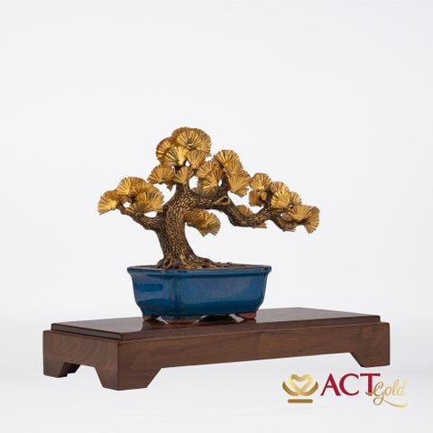 Quà tặng Tùng La Hán dát vàng 24k ACT GOLD ISO 9001:2015 (Mẫu 2)