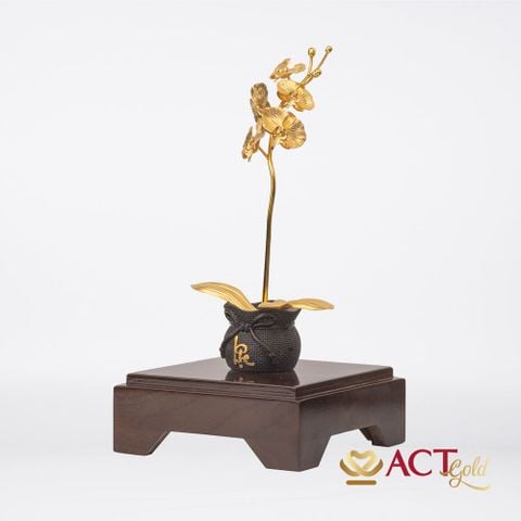 Quà tặng Chậu Lan 1 Cành dát vàng 24k ACT GOLD ISO 9001:2015
