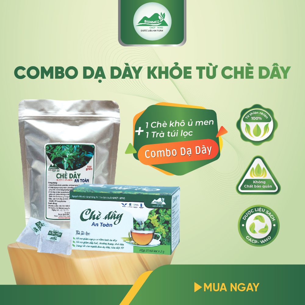 Combo Dạ Dày An Toàn Biormed– Chè Dây 1 Túi Sấy Khô + 1 Hộp Trà Túi Lọc