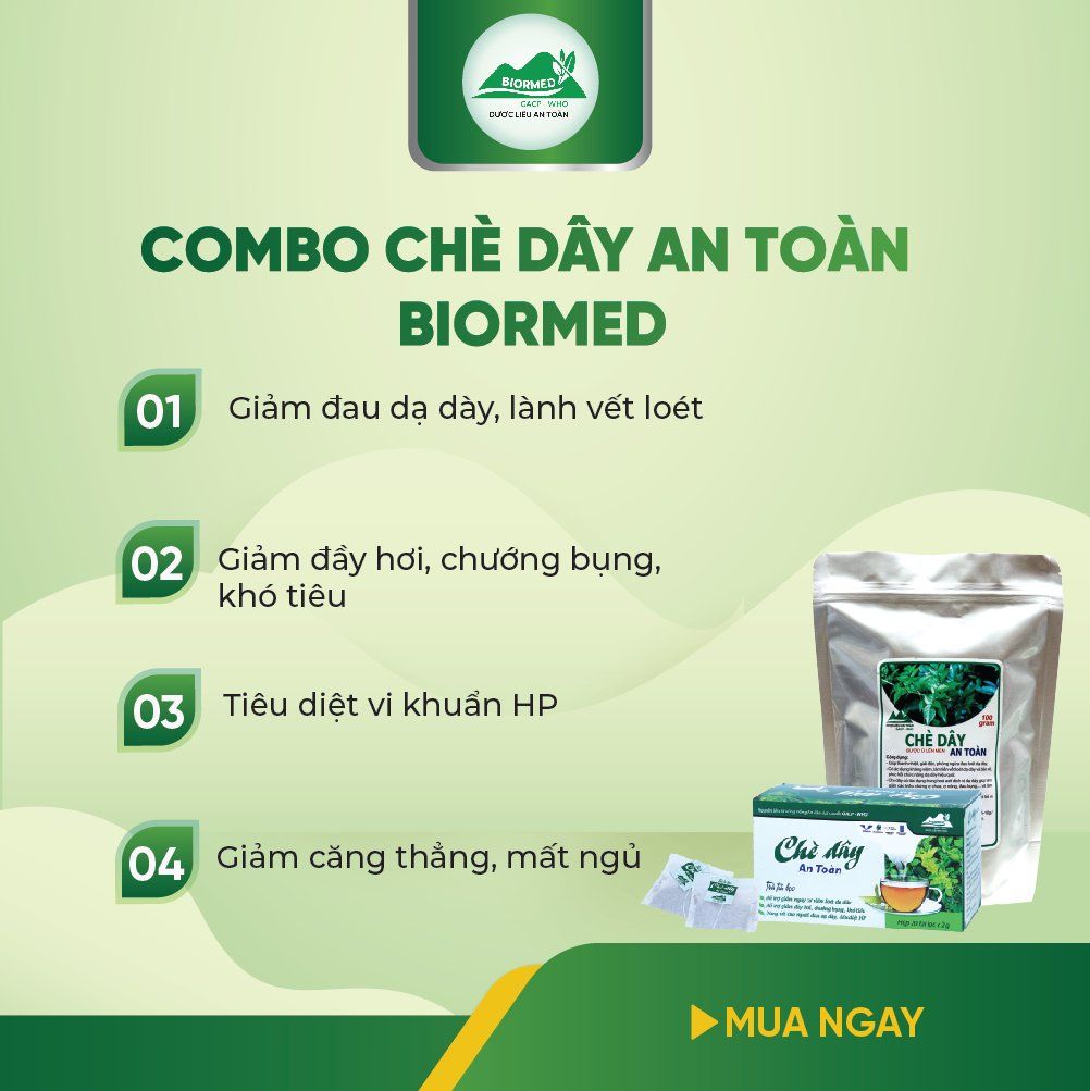 Combo Dạ Dày An Toàn Biormed– Chè Dây 1 Túi Sấy Khô + 1 Hộp Trà Túi Lọc