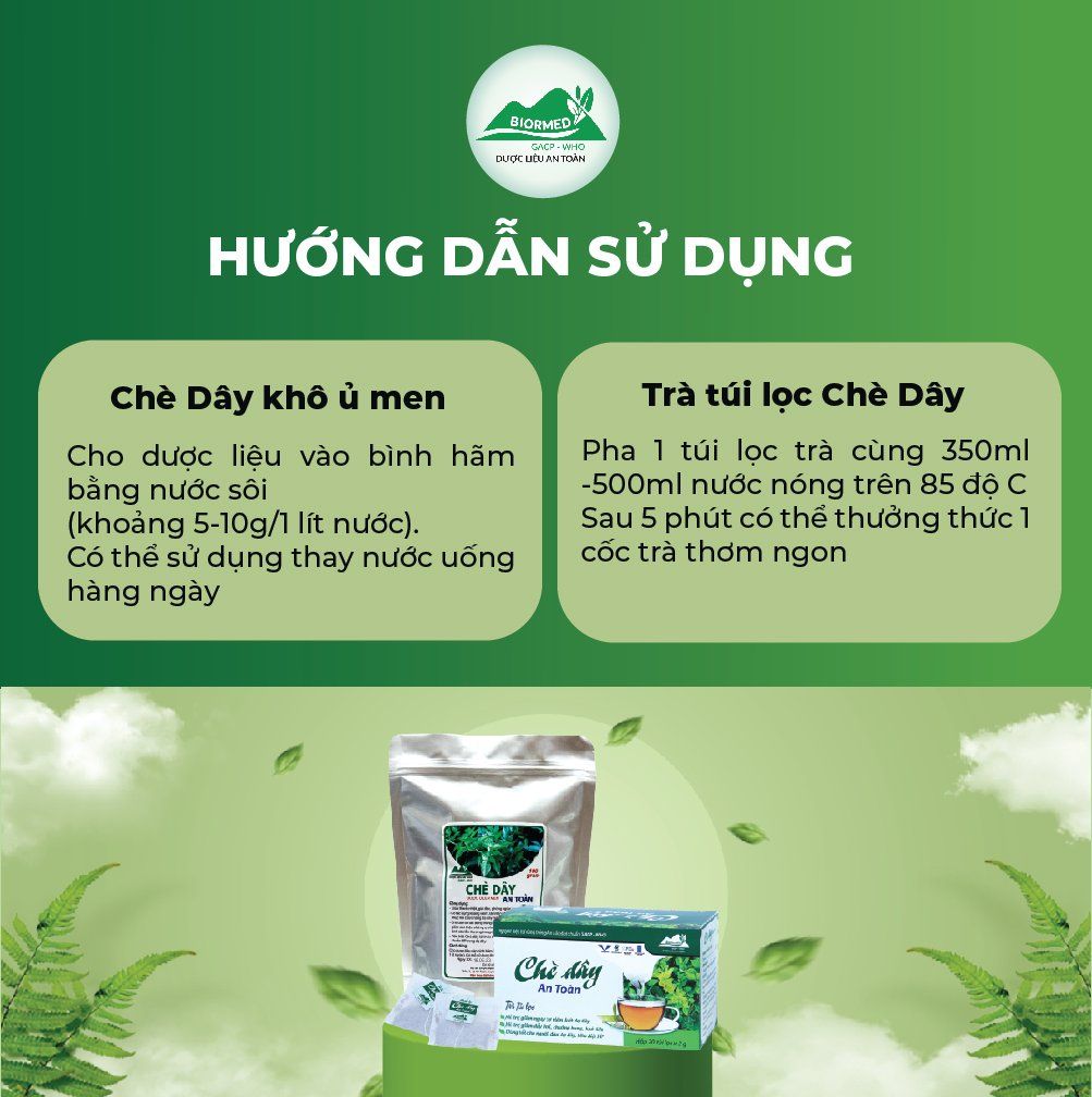 Combo Dạ Dày An Toàn Biormed– Chè Dây 1 Túi Sấy Khô + 1 Hộp Trà Túi Lọc