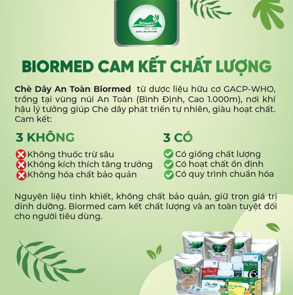 Combo Dạ Dày An Toàn Biormed– Chè Dây 1 Túi Sấy Khô + 1 Hộp Trà Túi Lọc