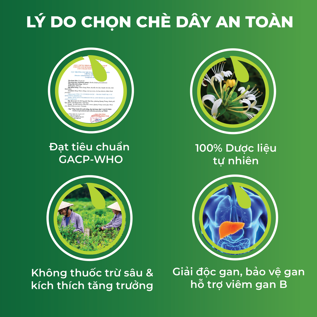 Combo Giải Độc Gan - Cà Gai Leo Sấy Khô & Trà Túi Lọc Kim Ngân Hoa An Toàn Biormed