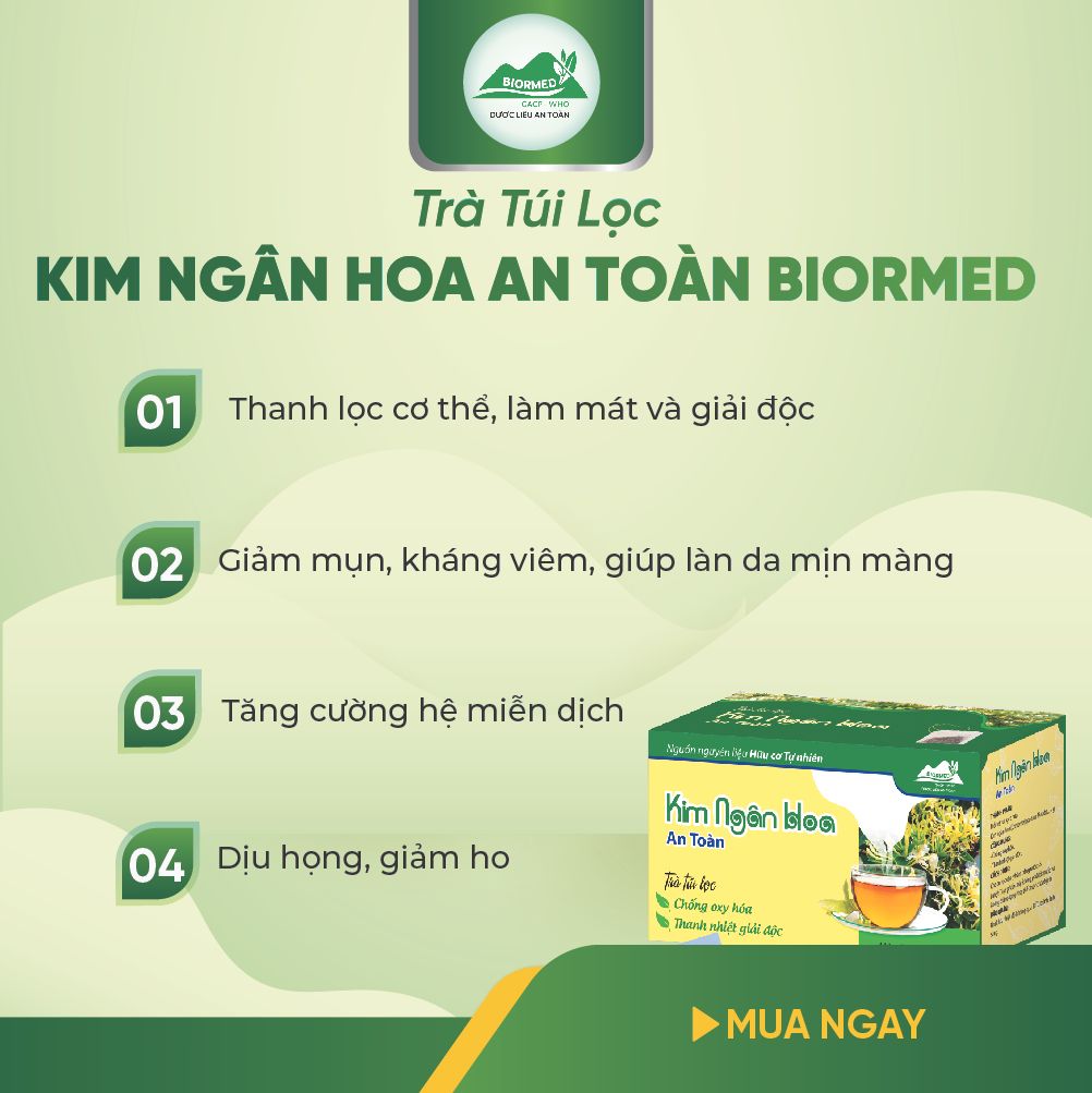 Trà Túi Lọc Kim Ngân Hoa An Toàn H/20 Gói