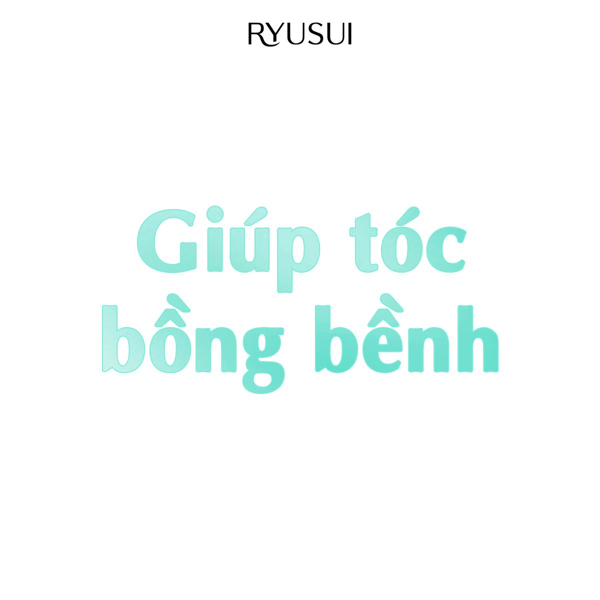 Combo Bảo vệ mái tóc