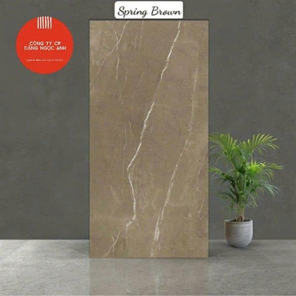 60*120 Sping Brown Gạch Đá th/4v/1.44m