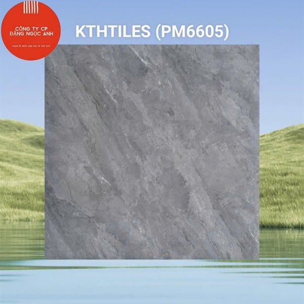 60x60 PM6605 Gạch Đá Mờ