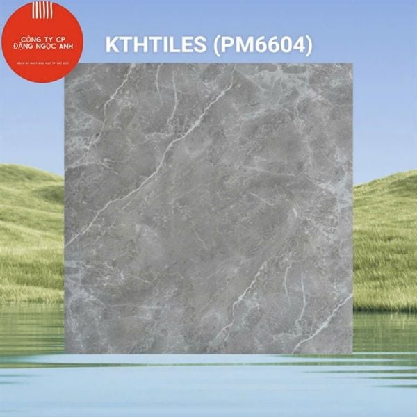 60x60 PM6604 Gạch Đá Mờ