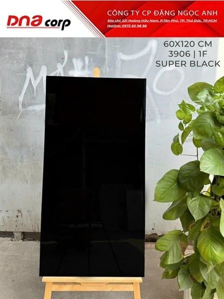 3906 1F Gạch Ấn Độ 60x120