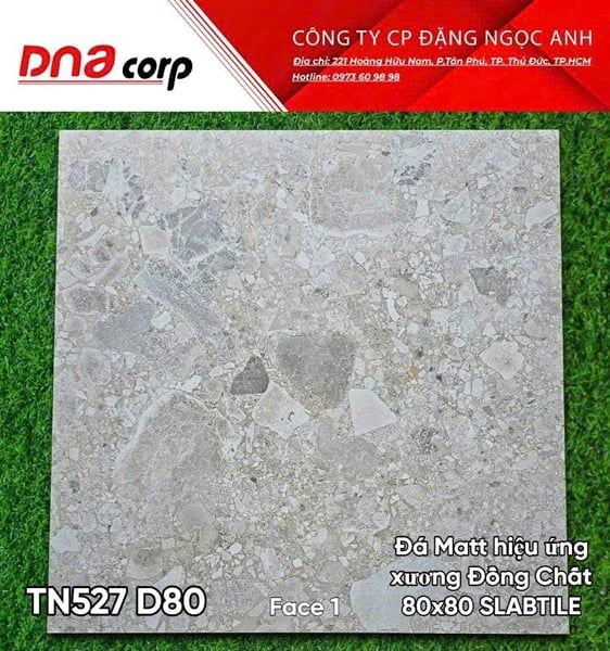 80x80 TN527 D80 Face 1 Đá Matt hiệu ứng xương đồng chất Stabtile