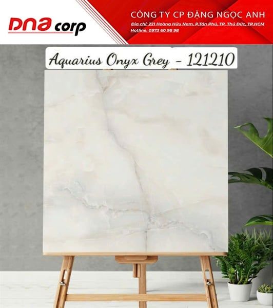 120x120 121210 Gạch Ấn Độ Aquarius Onyx Grey