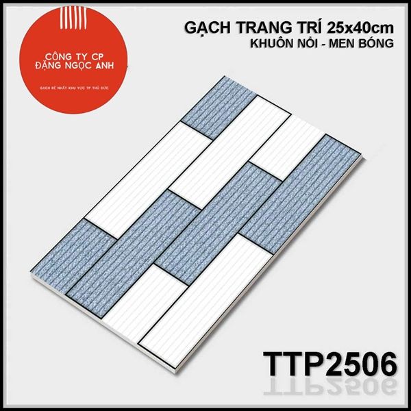 25x40 TTP2506 Gạch Men Trang Trí th/1m