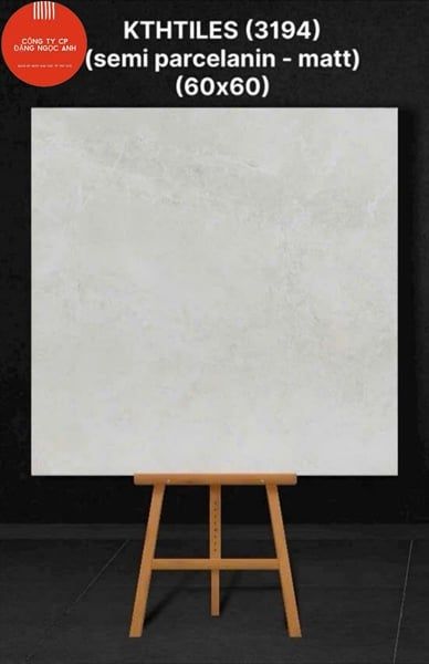 60x60 3194 Gạch Đá Mờ