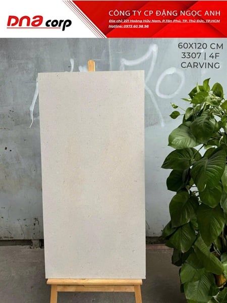 3307 4F Gạch Ấn Độ 60x120