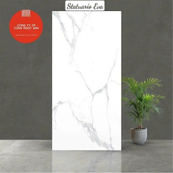 60*120 Statuario Eva gạch đá th/4v/1.44m