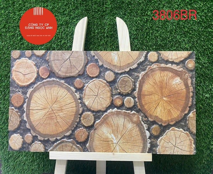 Gạch 3806BR Ấn Độ 30x60