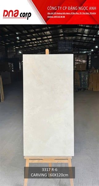 3317R-6 Gạch Ấn Độ 60x120