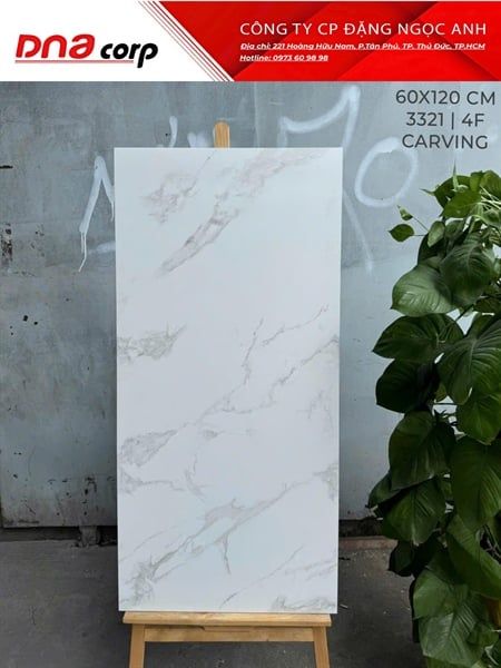 3321 4F Gạch Ấn Độ 60x120