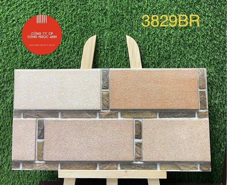 Gạch 3829BR Ấn Độ 30x60
