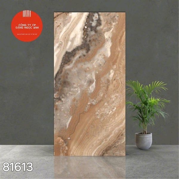 Gạch 81613 Ấn Độ 80×160