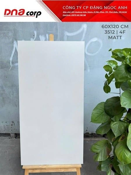 3512 4F Gạch Ấn Độ 60x120