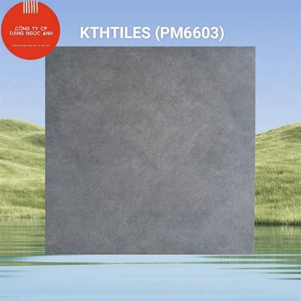 60x60 PM6603