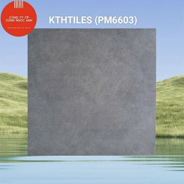 60x60 PM6603