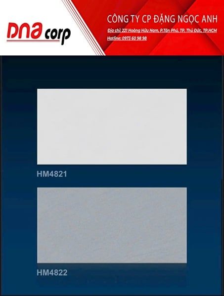 30x60 HM4822 Gạch Đá Mờ Viglacera