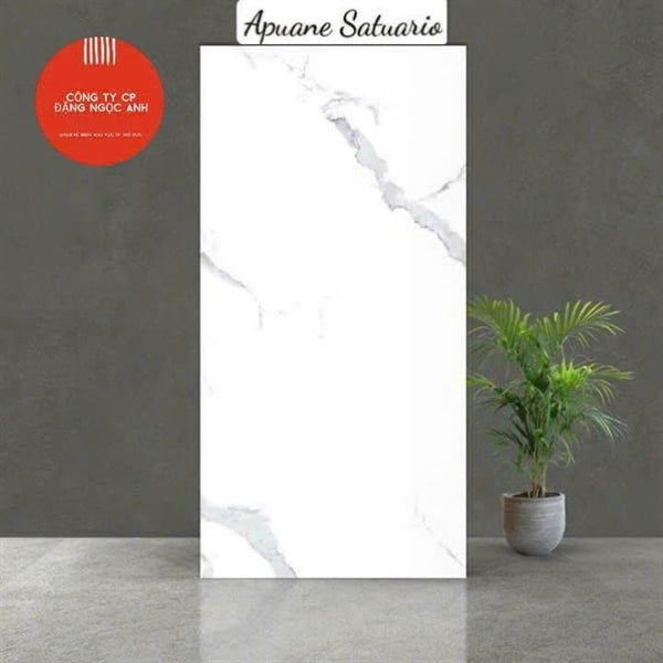 60*120 Aquane Stuario Gạch Đá th/4v/1.44m