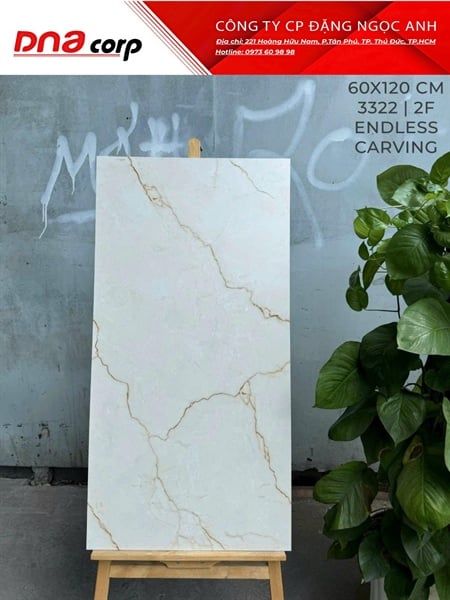3322 2F Gạch Ấn Độ 60x120