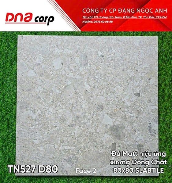 80x80 TN527 D80 Face 2 Đá Matt hiệu ứng xương đồng chất Stabtile