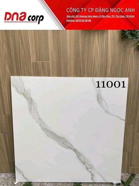 Gạch Ấn Độ 80x80 11001 thùng/ 3v= 1.92m