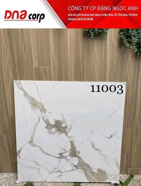 Gạch Ấn Độ 80x80 11003 thùng / 3v = 1.92m