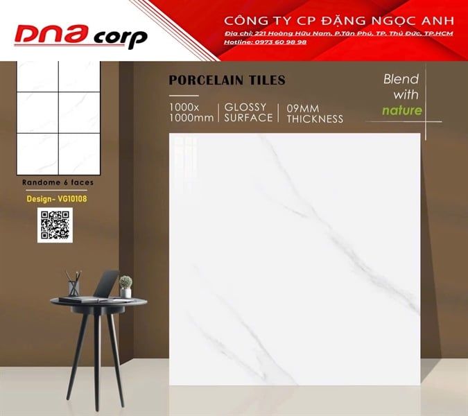 100x100 VG10108 Gạch Ấn Độ