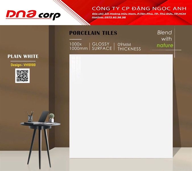 100x100 VH10100 Gạch Ấn Độ