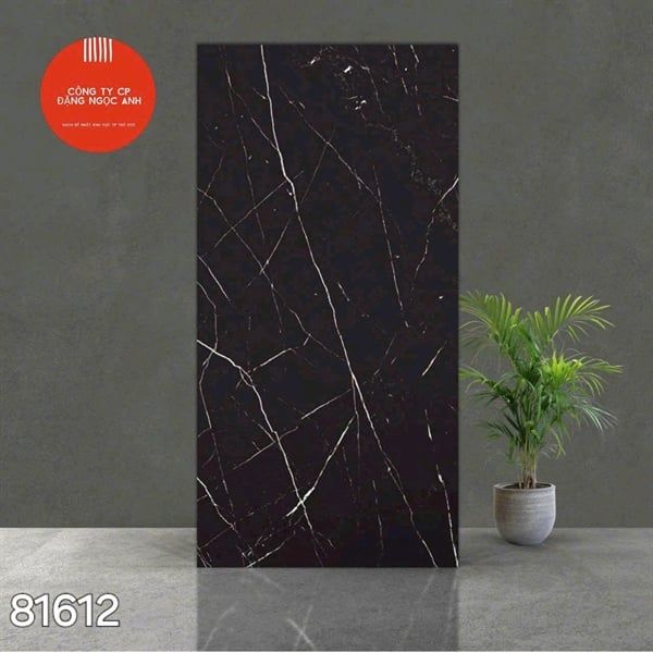 Gạch 81614 Ấn Độ 80×160