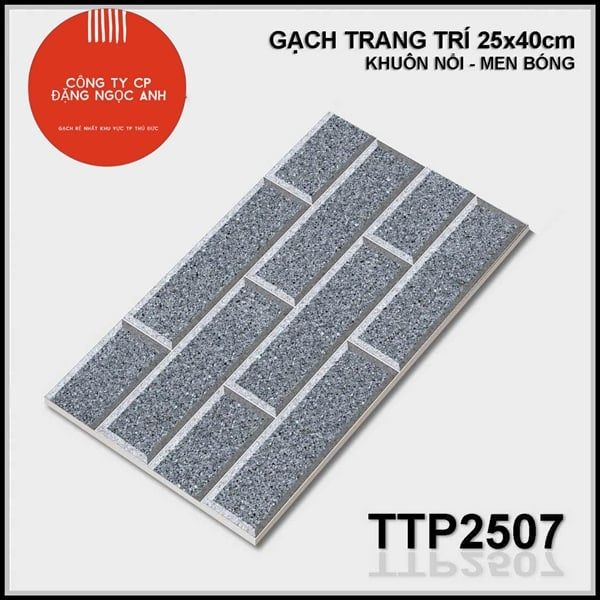 25x40 TTP2507 Gạch Men Trang Trí th/1m