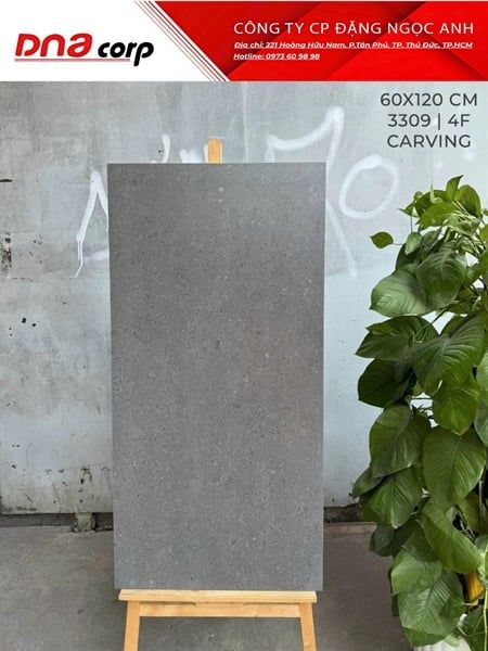 3309 4F Gạch Ấn Độ 60x120