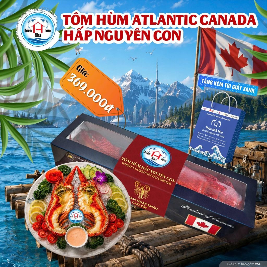 Tôm Hùm Atlantic Canada - Hấp Nguyên Con