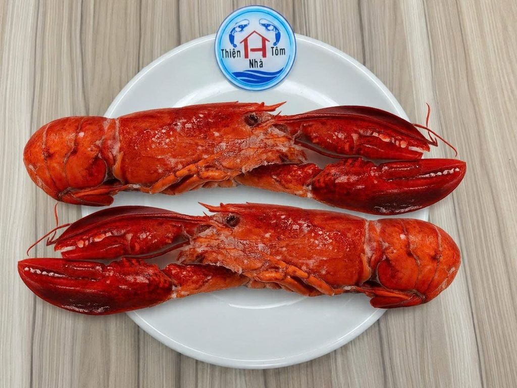 Tôm Hùm Atlantic Canada - Hấp Nguyên Con