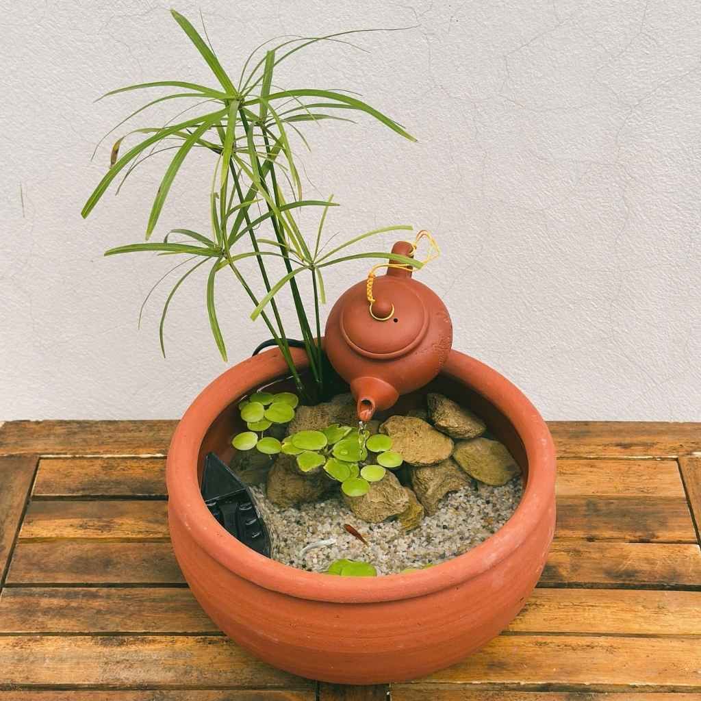 Set tiểu cảnh thủy sinh decor bàn làm việc BKCECN-9268