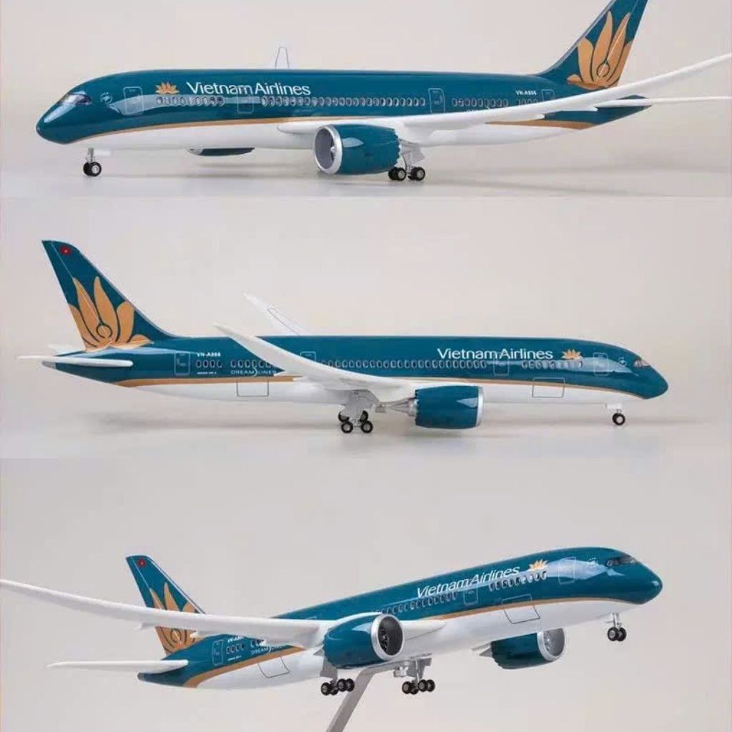 Mô Hình Máy Bay Vietnam Airlines BKMGVN-9009
