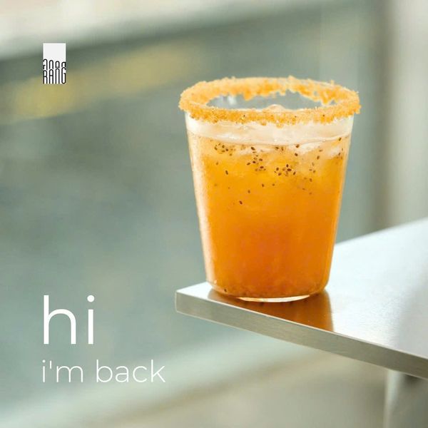 hola kocha / kombucha