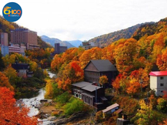 ASAHIKAWA - FURANO - SAPPORO - NOBORIBETSU - SAPPORO