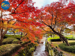 NARA – OSAKA – KYOTO – NAGOYA – PHÚ SĨ – TOKYO