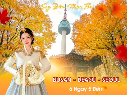 HÀN QUỐC| BUSAN - DAEGU - SEOUL (Vietnam Airlines)